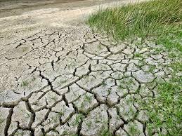 Climate Change